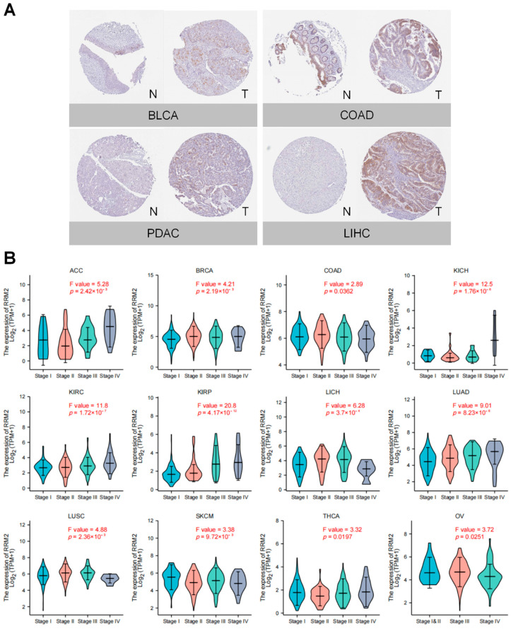 PMC9221307 – cancers-14-02938-f002