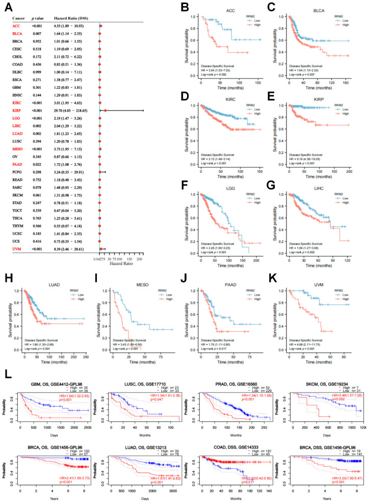 PMC9221307 – cancers-14-02938-f004