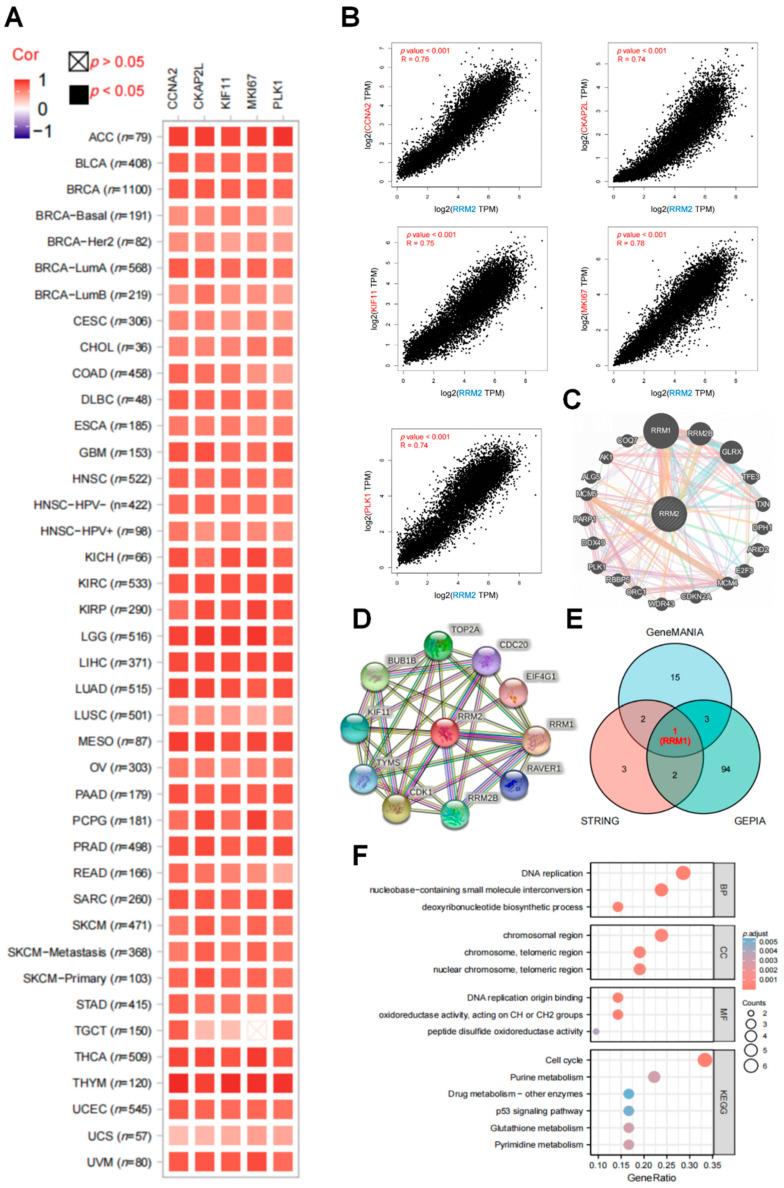 PMC9221307 – cancers-14-02938-f005