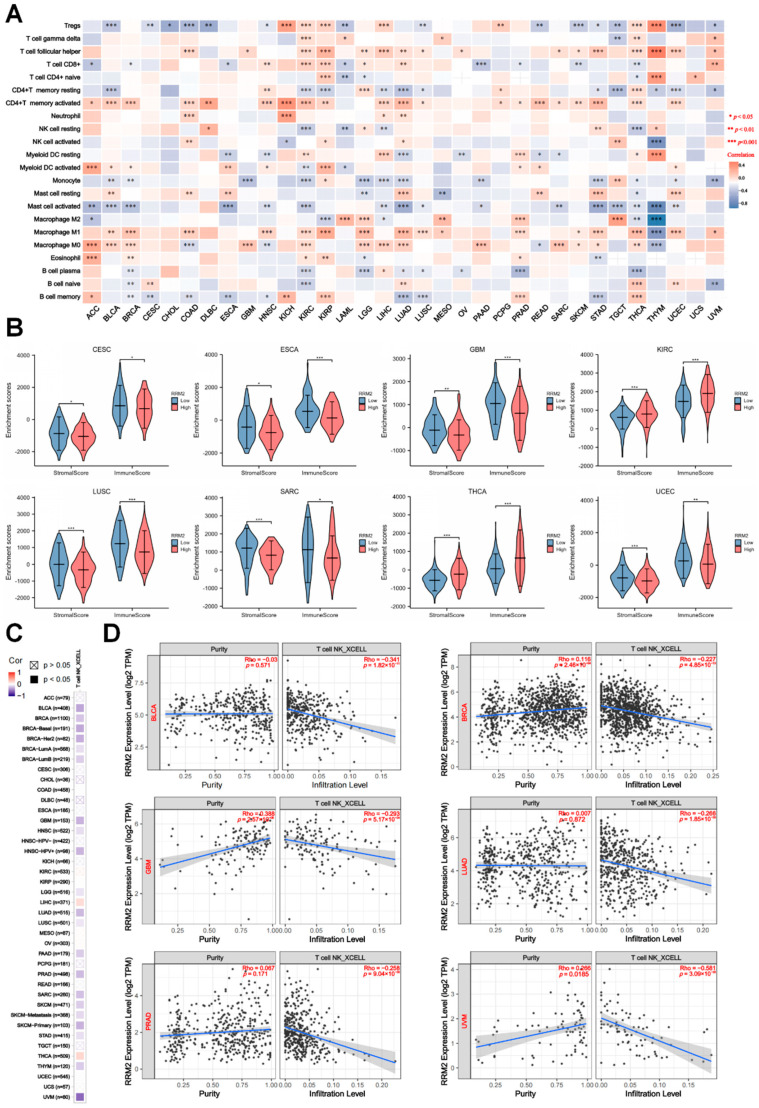 PMC9221307 – cancers-14-02938-f007