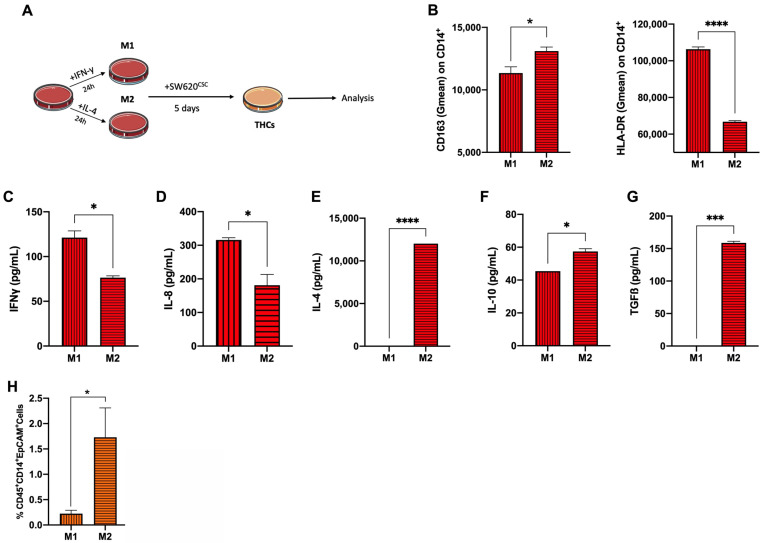 PMC9324286 – cancers-14-03445-f003