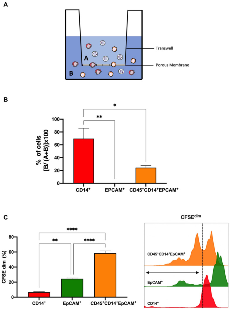 PMC9324286 – cancers-14-03445-f004