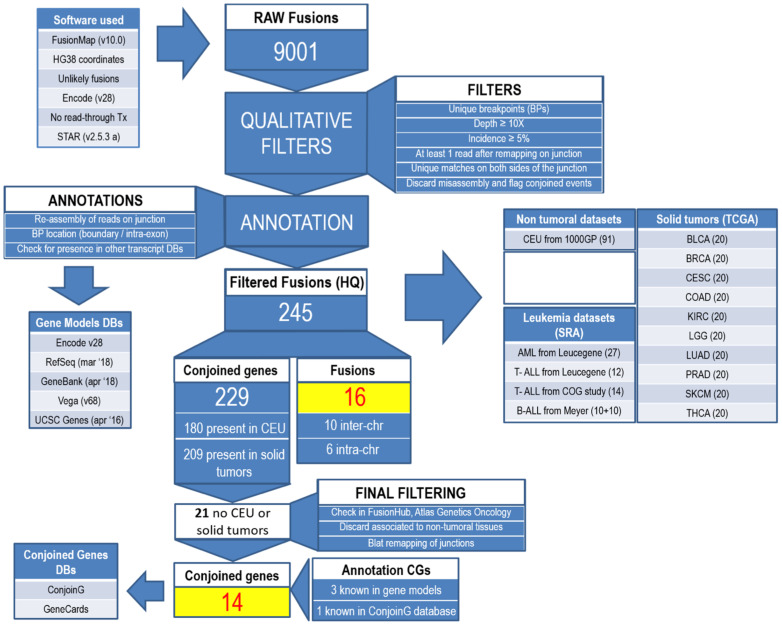 PMC9315513 – cancers-14-03523-f001