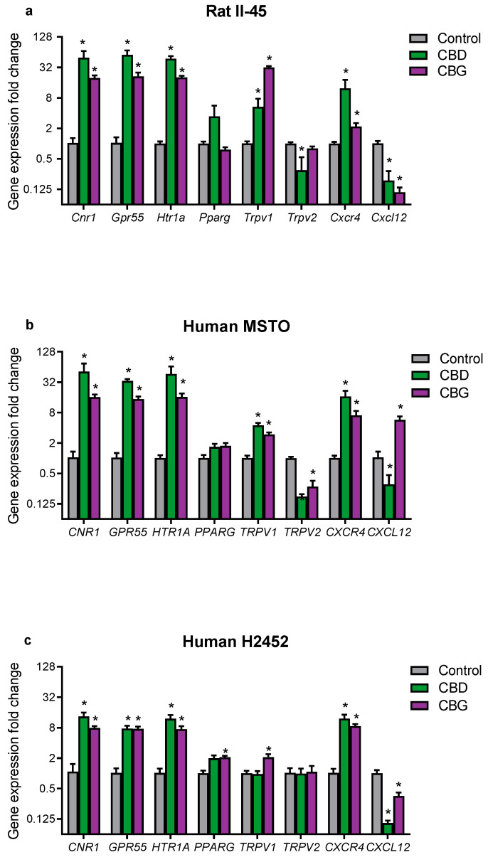 PMC9367527 – cancers-14-03813-f005