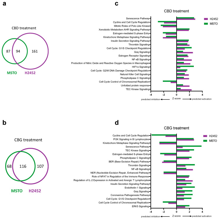 PMC9367527 – cancers-14-03813-f006