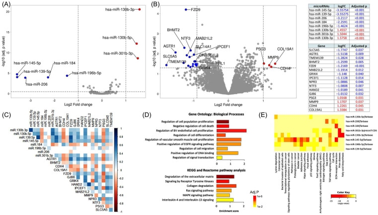 PMC9454675 – cancers-14-04128-f002