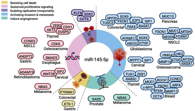 PMC9454675 – cancers-14-04128-f008