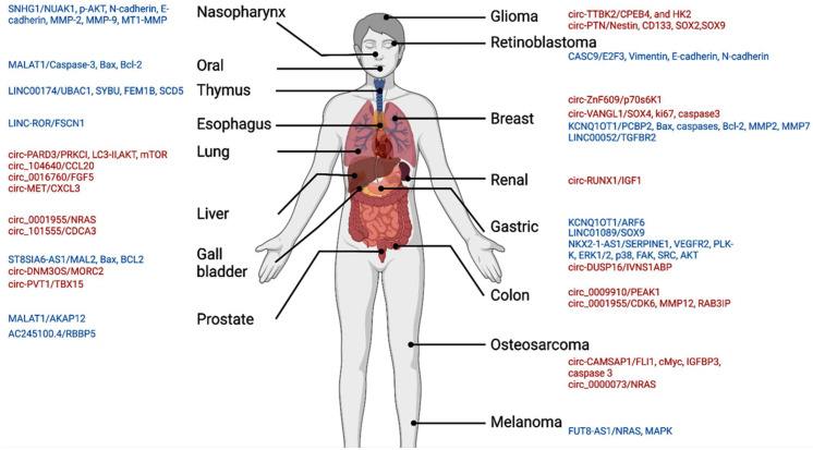 PMC9454675 – cancers-14-04128-f009