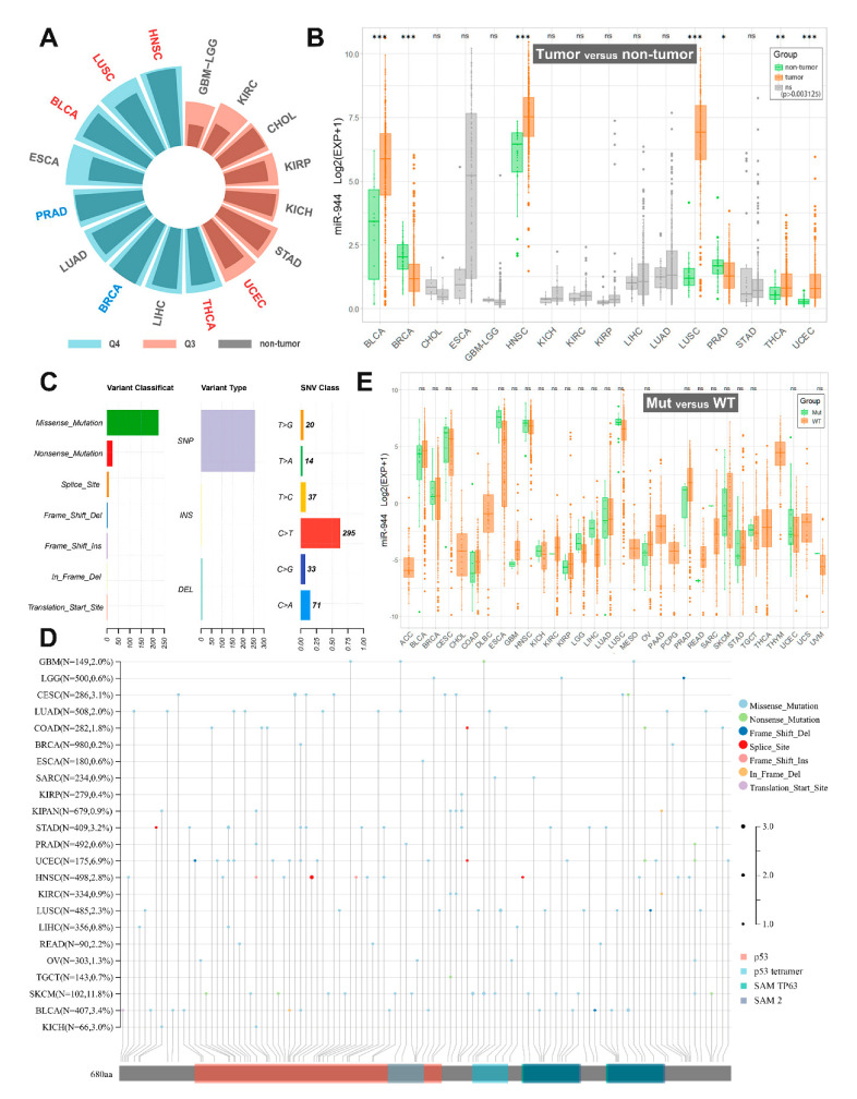 PMC9454979 – cancers-14-04232-f001