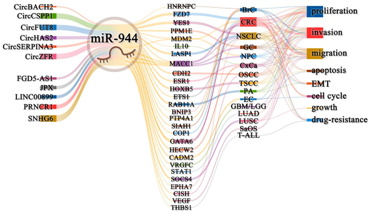 PMC9454979 – cancers-14-04232-f004