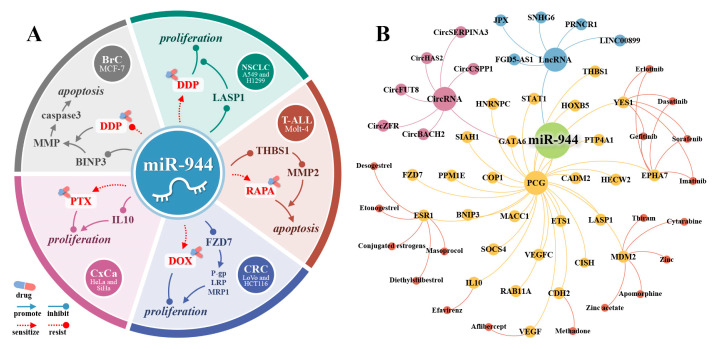 PMC9454979 – cancers-14-04232-f007