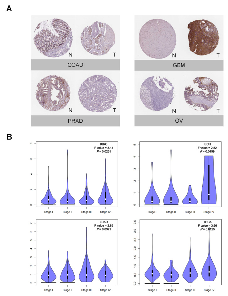 PMC9496739 – cancers-14-04438-f002
