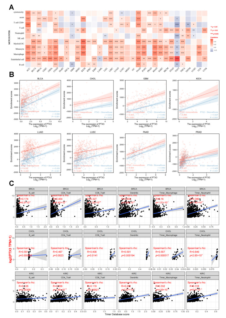 PMC9496739 – cancers-14-04438-f007