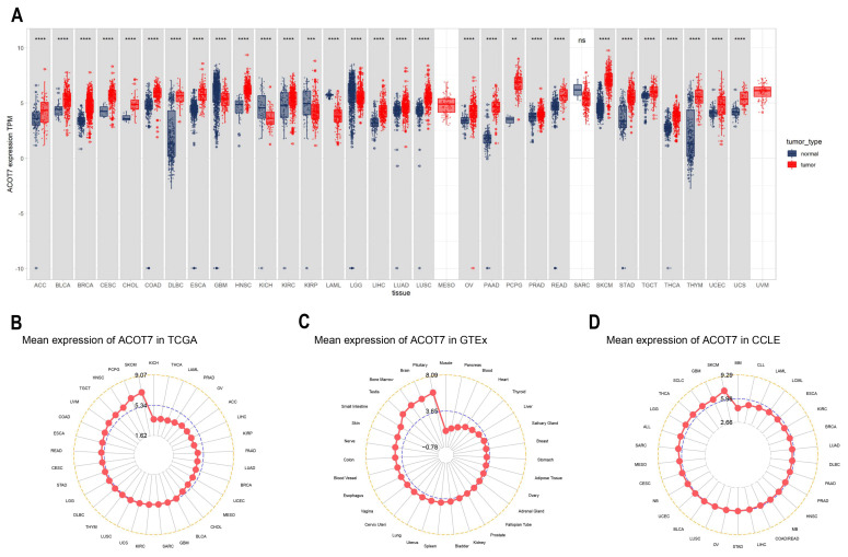 PMC9497106 – cancers-14-04522-f001