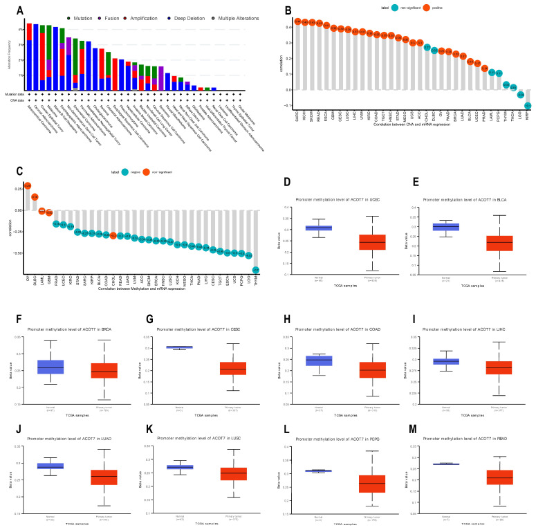 PMC9497106 – cancers-14-04522-f004
