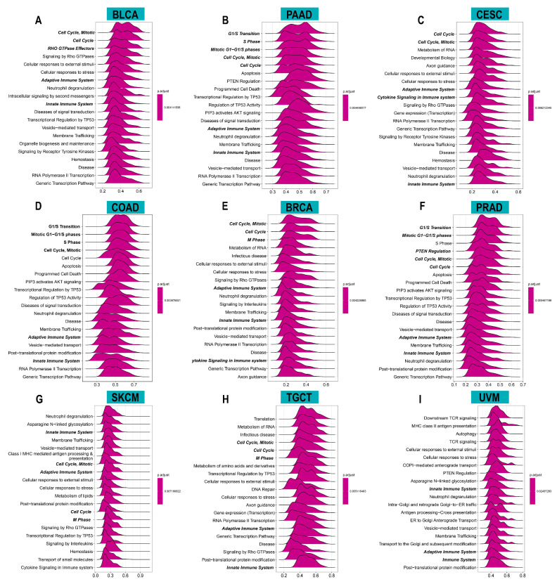 PMC9497106 – cancers-14-04522-f005