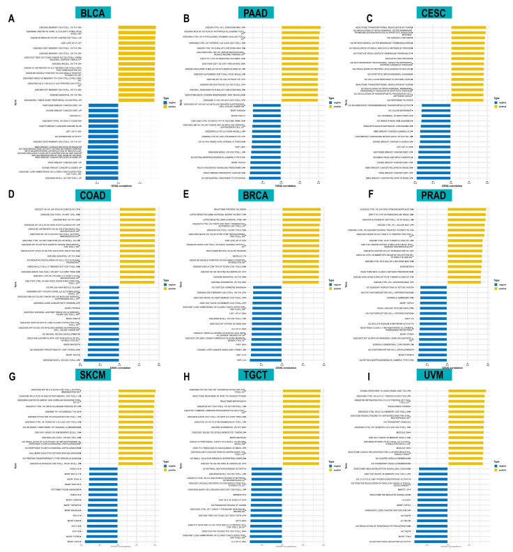 PMC9497106 – cancers-14-04522-f006