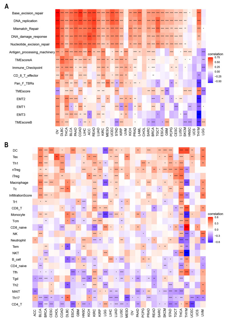 PMC9497106 – cancers-14-04522-f007