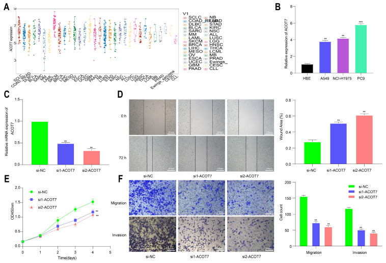 PMC9497106 – cancers-14-04522-f011
