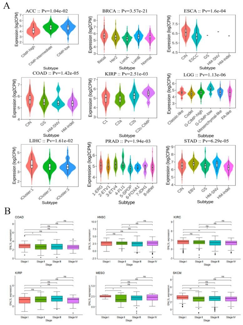 PMC9558978 – cancers-14-04595-f003