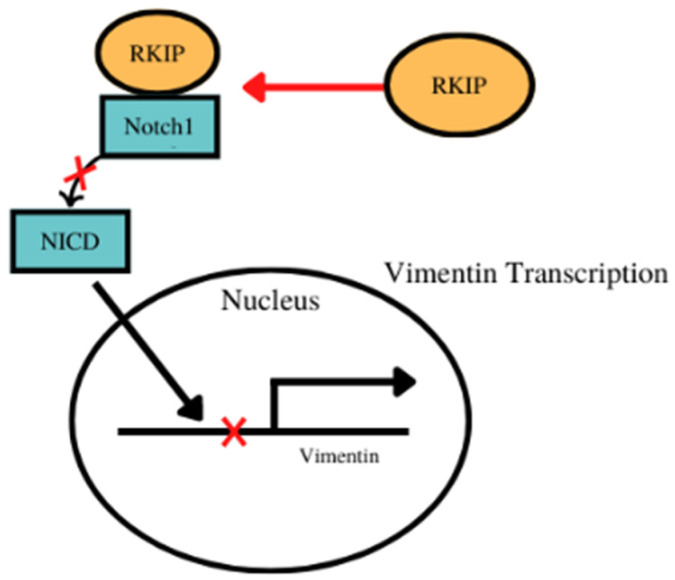 PMC9559516 – cancers-14-04596-f002