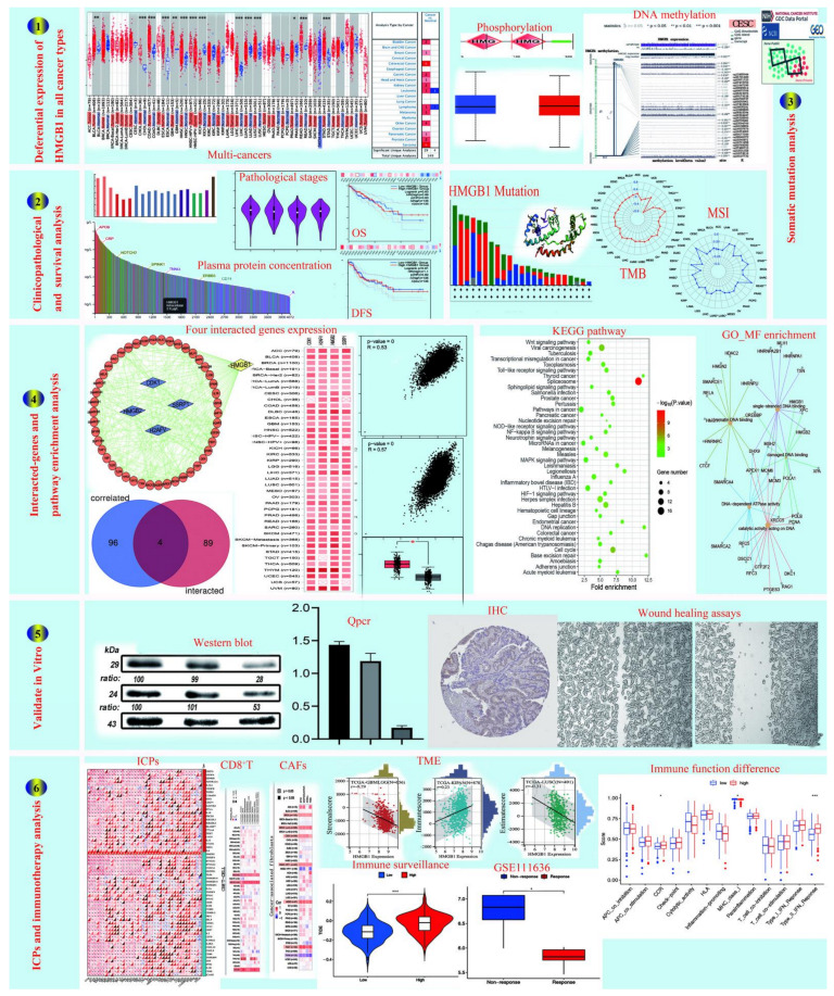 PMC9563811 – cancers-14-04875-f001