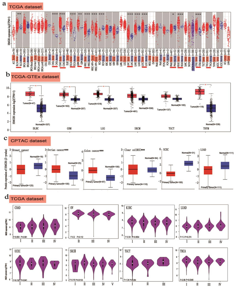 PMC9563811 – cancers-14-04875-f002