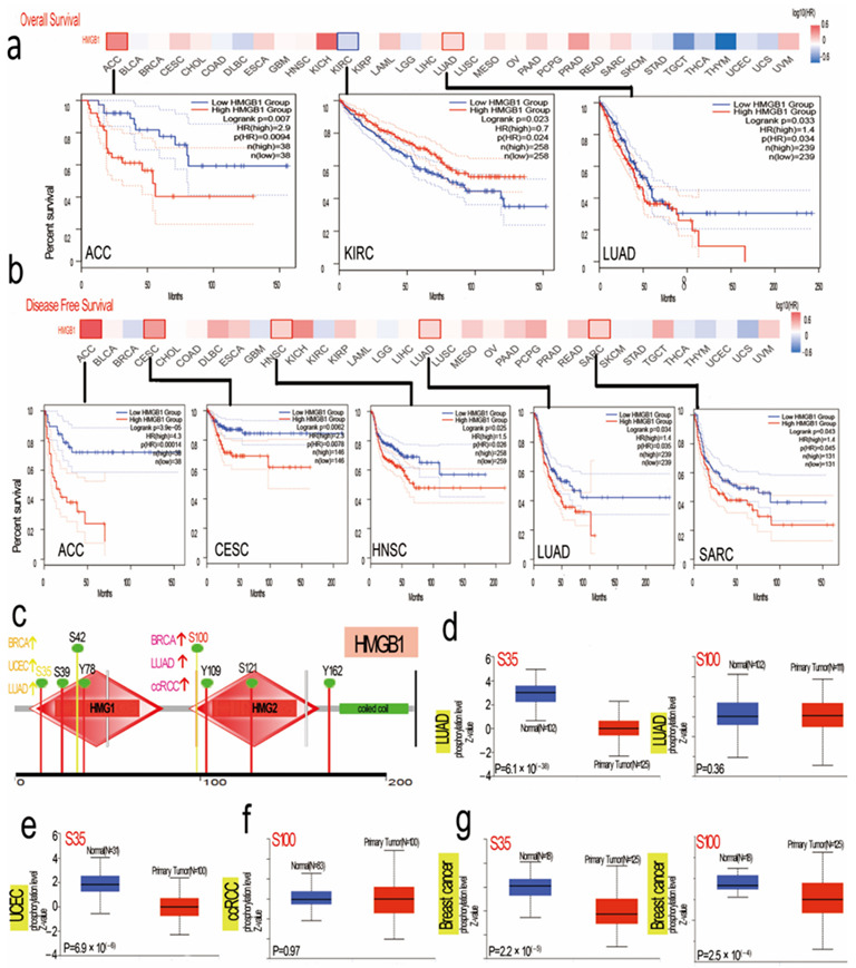 PMC9563811 – cancers-14-04875-f003