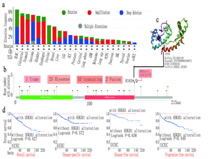 PMC9563811 – cancers-14-04875-f004