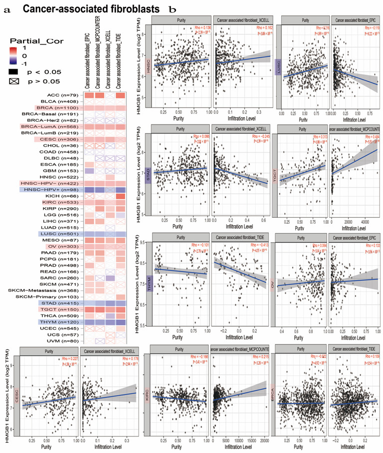 PMC9563811 – cancers-14-04875-f005