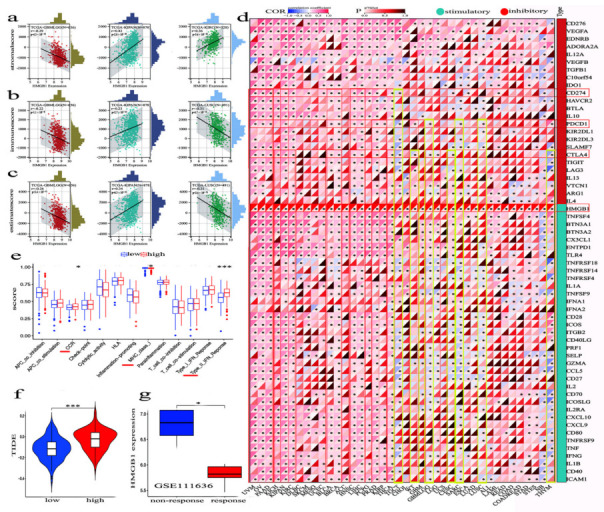 PMC9563811 – cancers-14-04875-f006