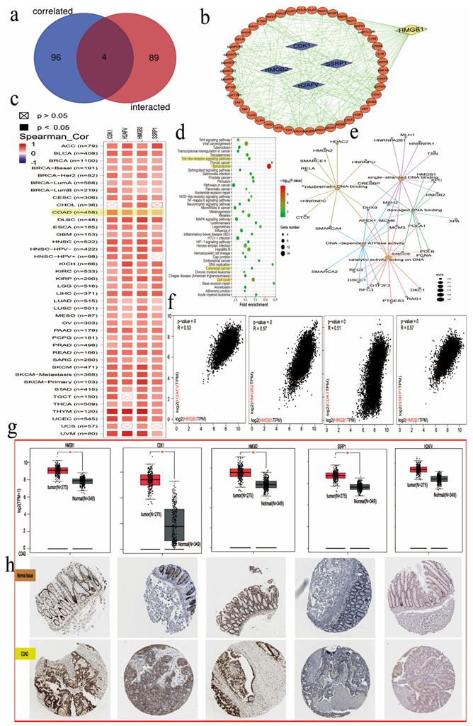 PMC9563811 – cancers-14-04875-f007