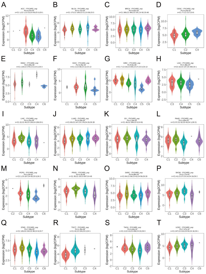 PMC9599636 – cancers-14-04992-f002