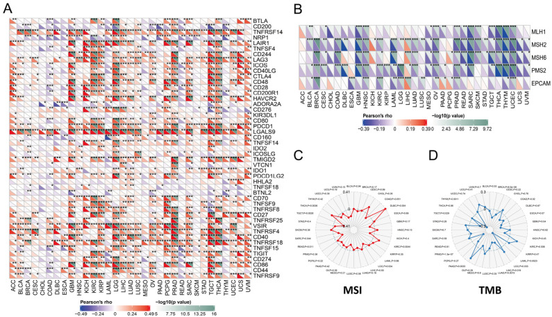 PMC9599636 – cancers-14-04992-f003