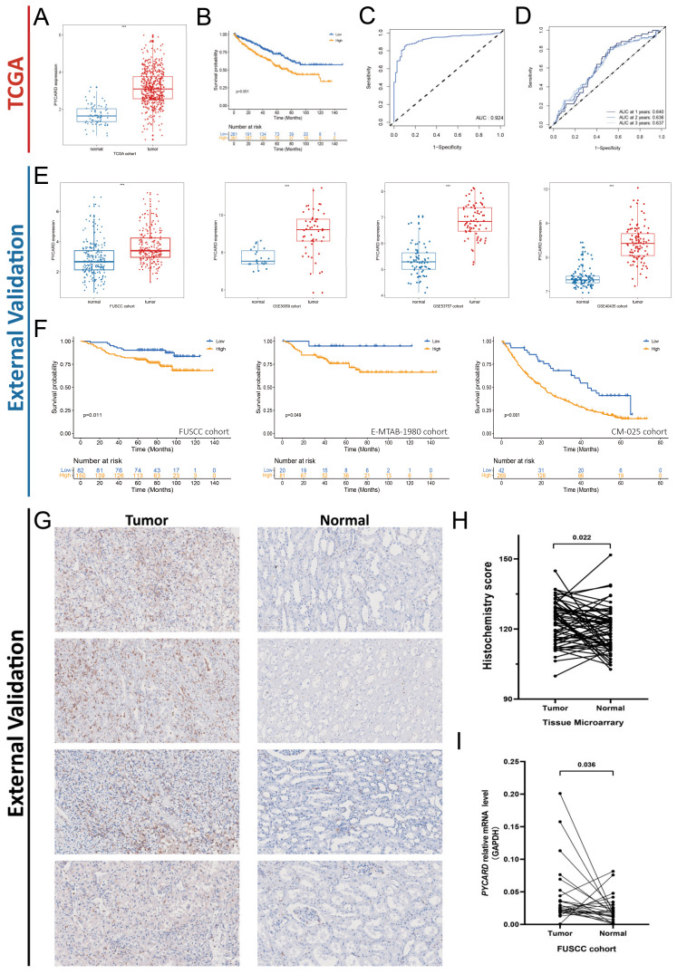 PMC9599636 – cancers-14-04992-f004