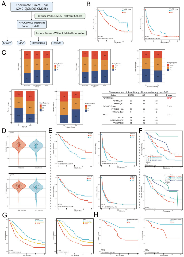 PMC9599636 – cancers-14-04992-f006