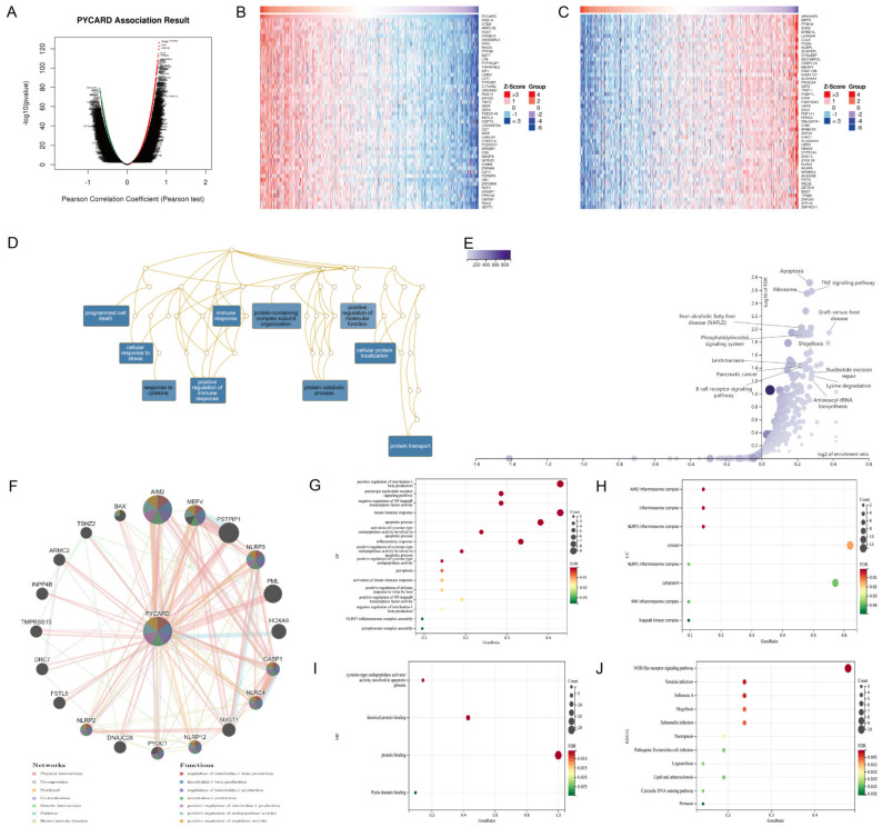 PMC9599636 – cancers-14-04992-f007