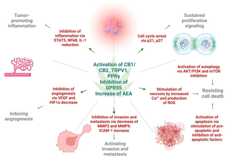 PMC9600568 – cancers-14-05142-f002