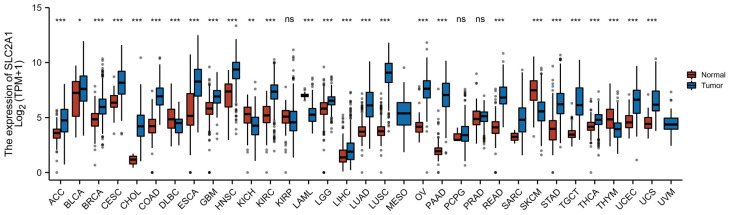 PMC9657346 – cancers-14-05344-f001