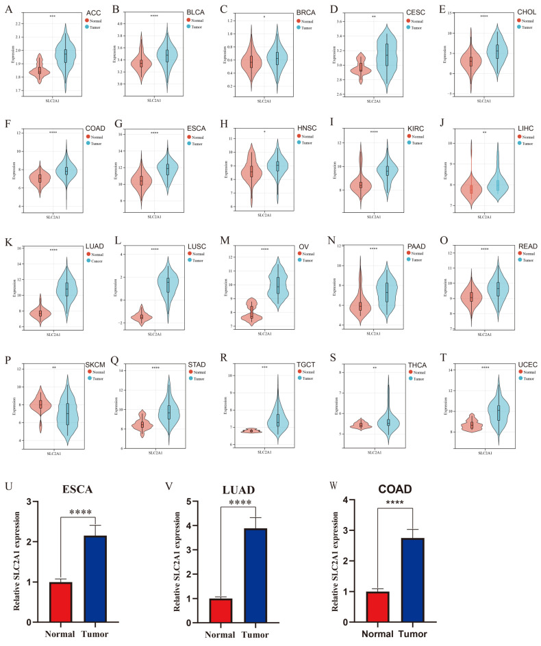PMC9657346 – cancers-14-05344-f002