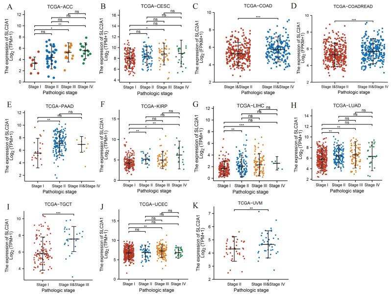 PMC9657346 – cancers-14-05344-f003