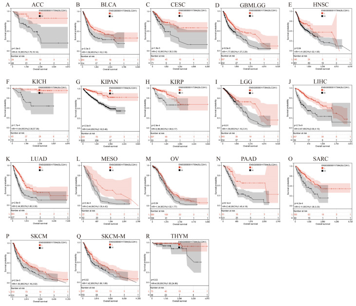 PMC9657346 – cancers-14-05344-f007