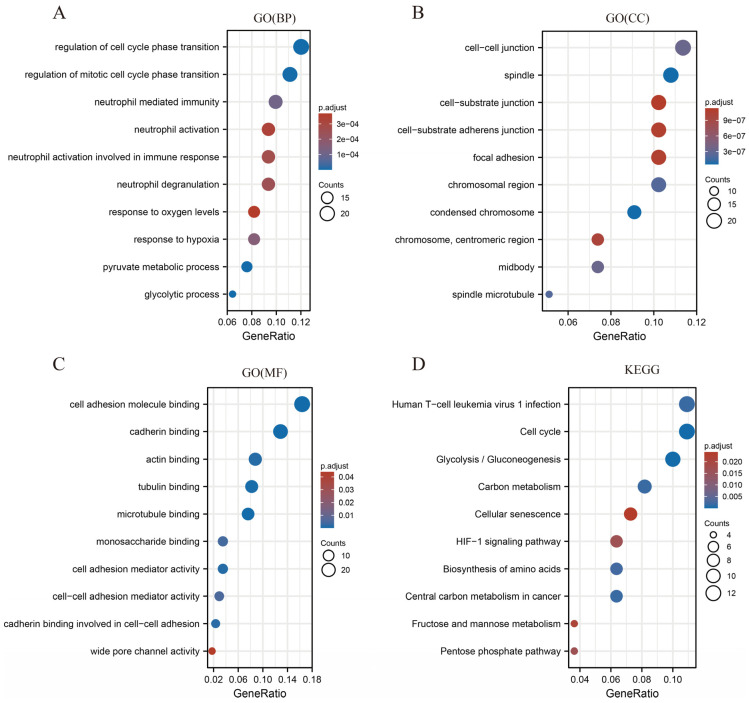 PMC9657346 – cancers-14-05344-f011