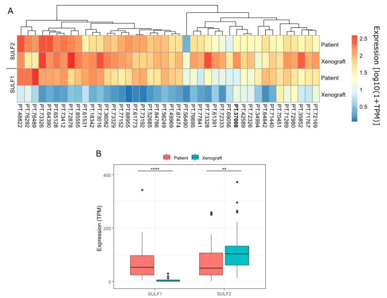 PMC9688903 – cancers-14-05553-f005