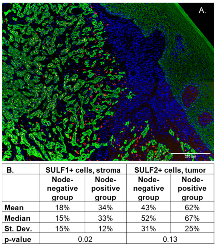 PMC9688903 – cancers-14-05553-f006