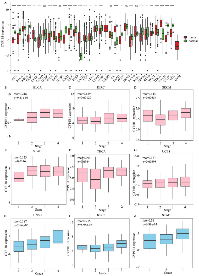 PMC9688555 – cancers-14-05641-f001