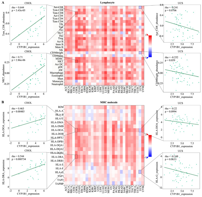 PMC9688555 – cancers-14-05641-f002