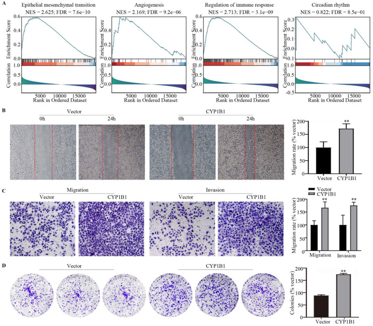 PMC9688555 – cancers-14-05641-f005