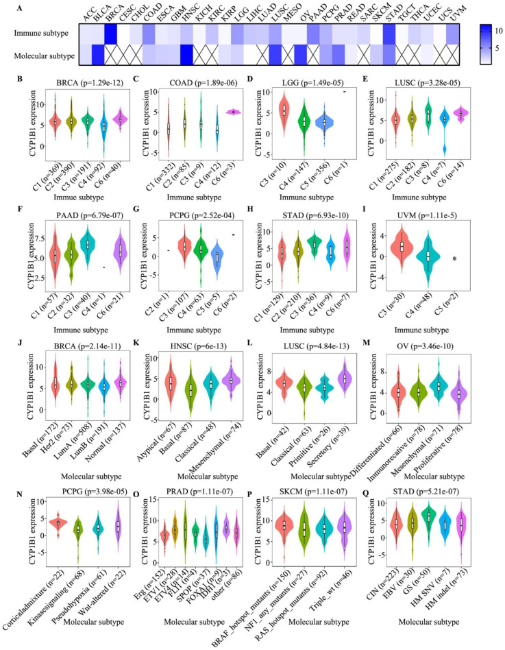 PMC9688555 – cancers-14-05641-f007