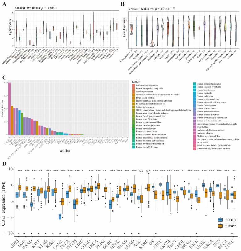 PMC9688912 – cancers-14-05663-f001